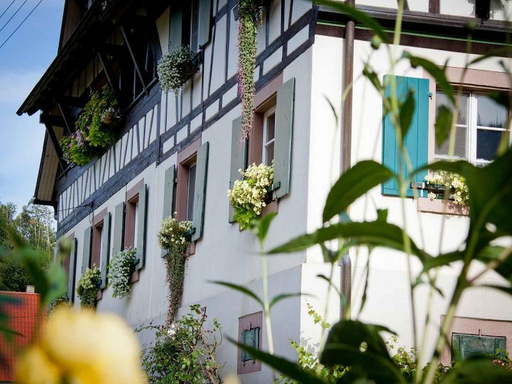 Apartament Weingut Alfred Huber Durbach Zewnętrze zdjęcie